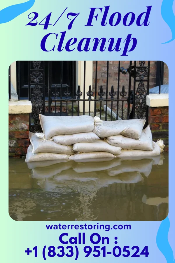 24/7 Flood Cleanup in Forest Hills, PA