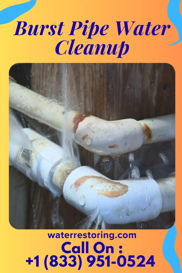 Burst Pipe Water Cleanup in Forest Hills, PA