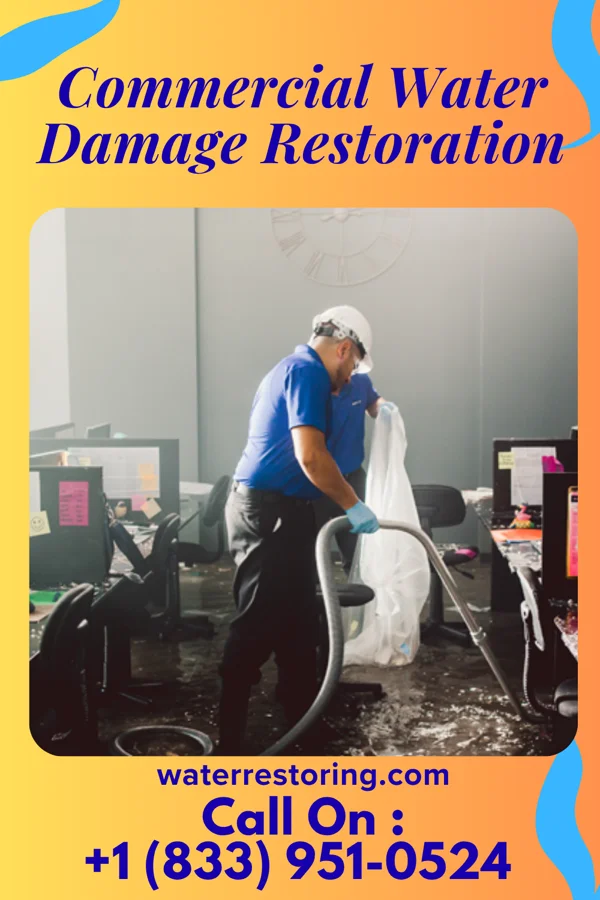Commercial Water Damage Restoration in Forest Hills, PA
