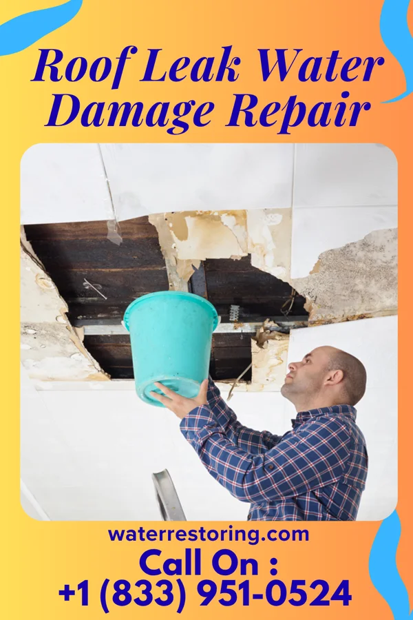 Roof Leak Water Damage Repair in Forest Hills, PA