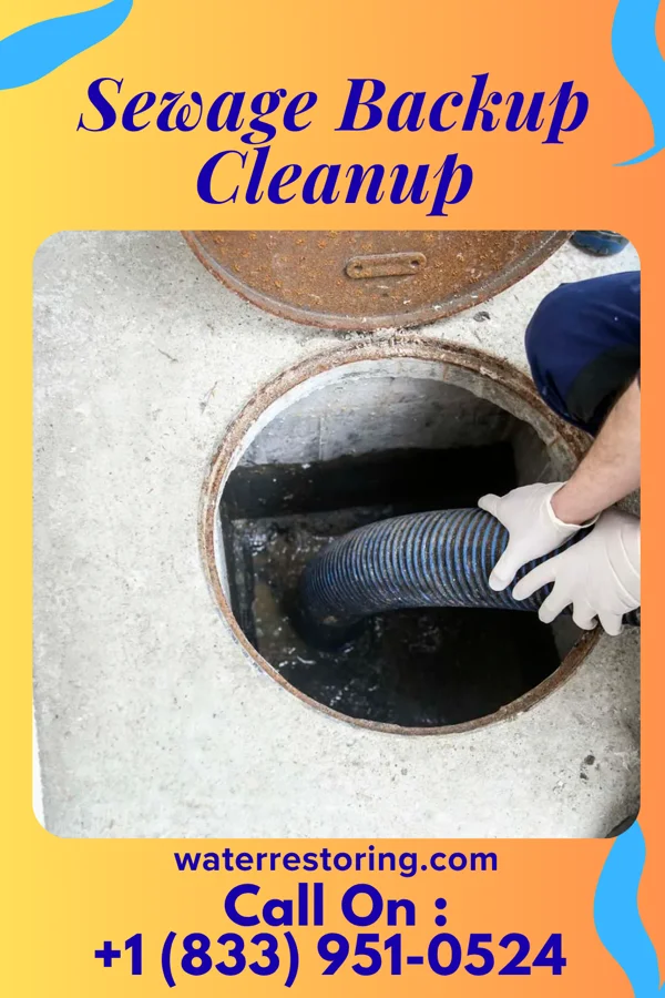 Sewage Backup Cleanup in Forest Hills, PA