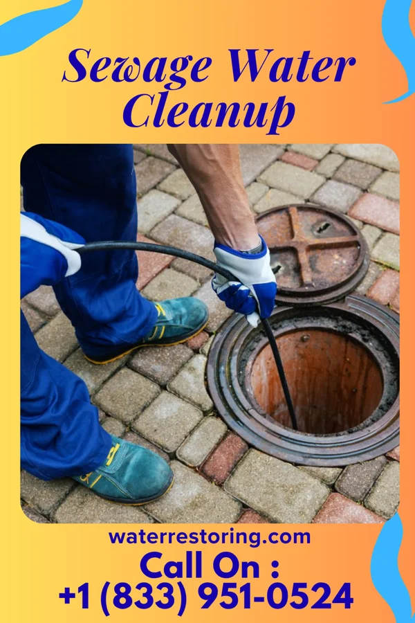 Sewage Water Cleanup in Forest Hills, PA